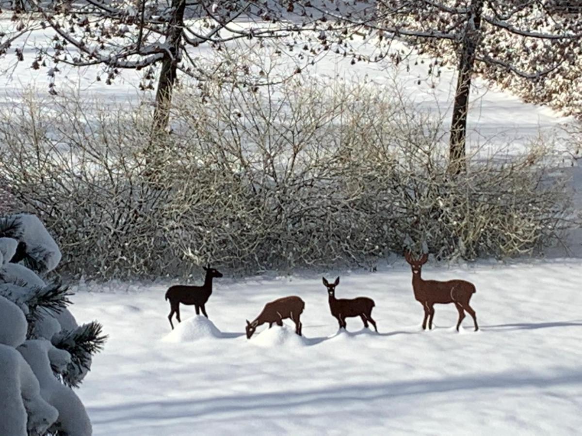 Ferienwohnungen Familie Wetzlinger Бад-Кляйнкірхгайм Екстер'єр фото